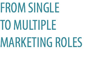 FROM SINGLE  TO MULTIPLE MARKETING ROLES