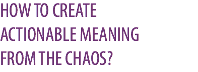 HOW TO CREATE  ACTIONABLE MEANING  FROM THE CHAOS?